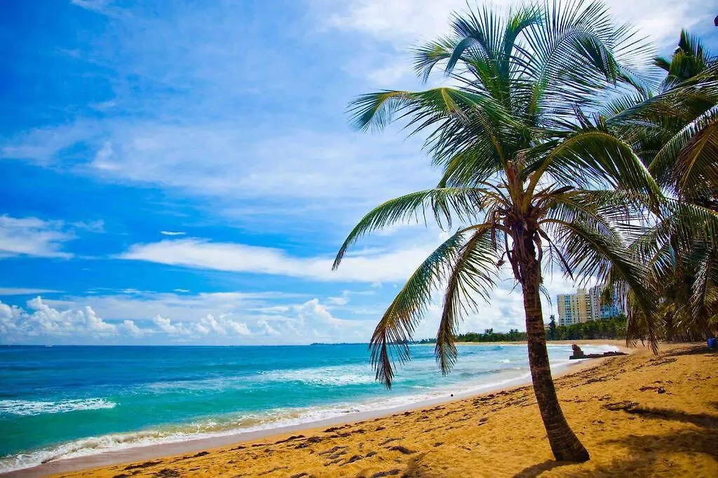 Apartament A2-Quaint 1B-Fast Wifi-Walk To Restaurants, Beach San Juan