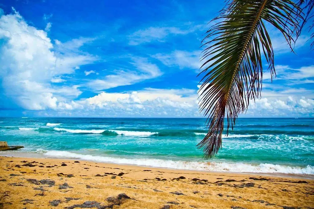 Apartament A2-Quaint 1B-Fast Wifi-Walk To Restaurants, Beach San Juan
